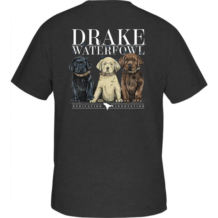 Drake Lab Puppies T-Shirt DT9653-CHH