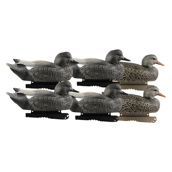 GHG Hunter Series Life Size Gadwall Decoys 6 Pack 73045