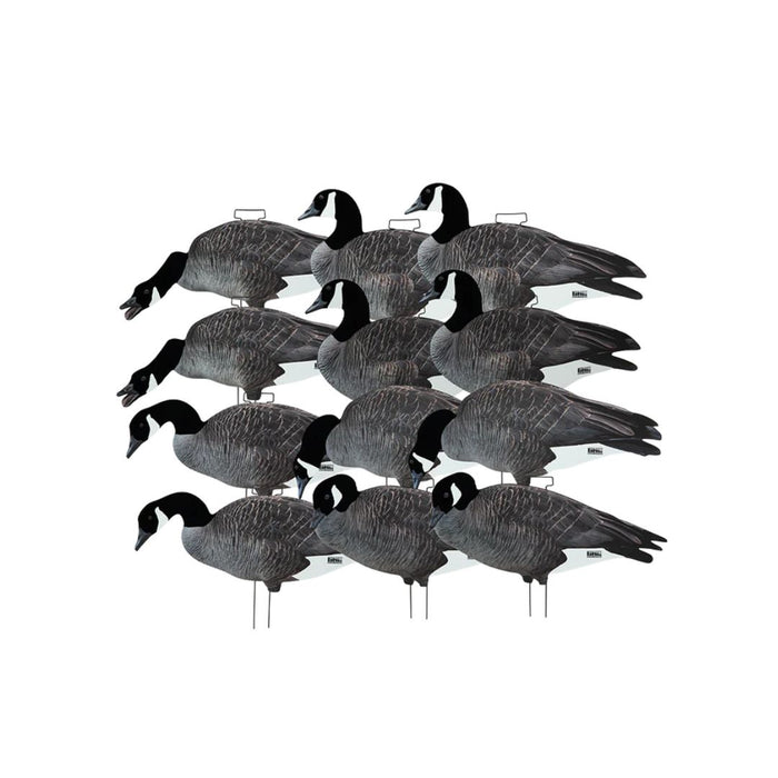 Banded FFD Silhouette Decoys 77017