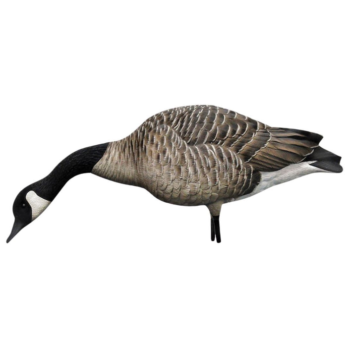 Avian X AXP- Honker Feeders Pack 9003