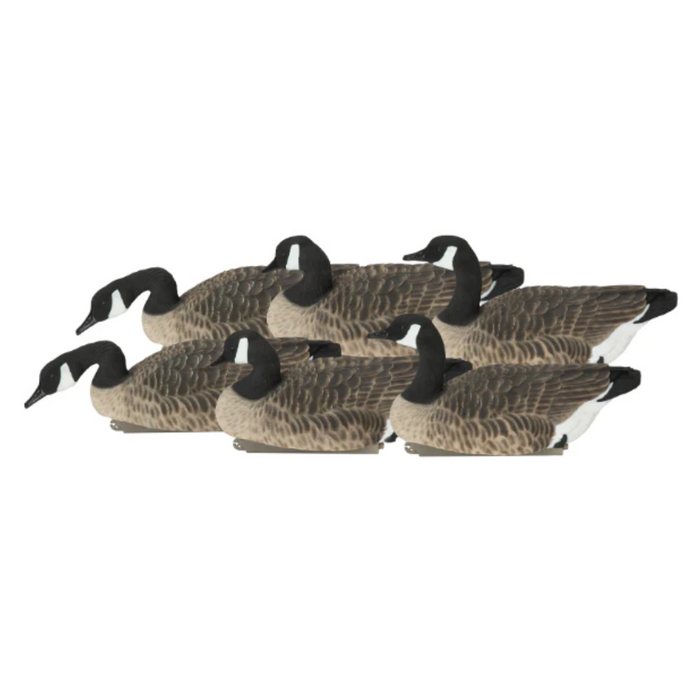 GHG PG XD Canada Floaters-Harvester Pack (6-pack) 71062