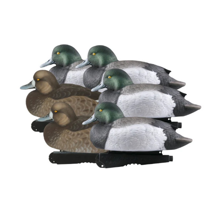 Banded Over-Size Blue-Bills (6-pack) - Foam Filled 77160