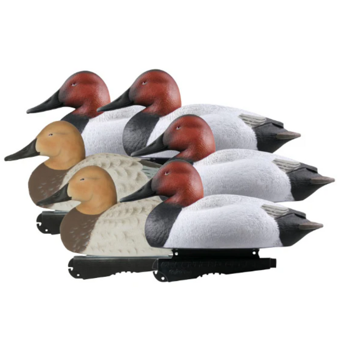 Banded Over-Size Canvasbacks (6-pack) - Foam Filled 77161