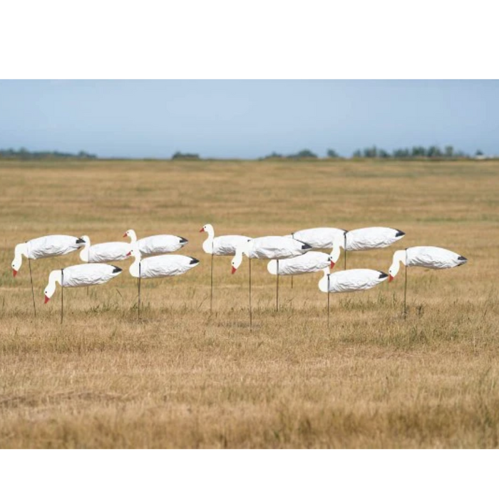 Banded PG Sock Decoys-Reg-Snow Goose w/heads 77502