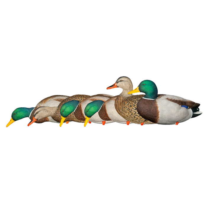 Avian X AXP Mallards Fusion Pack 8061