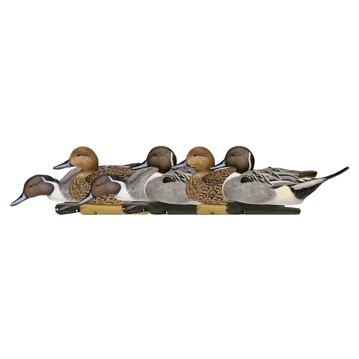 Avian X Topflight Pintails Life Size Pintails 8082