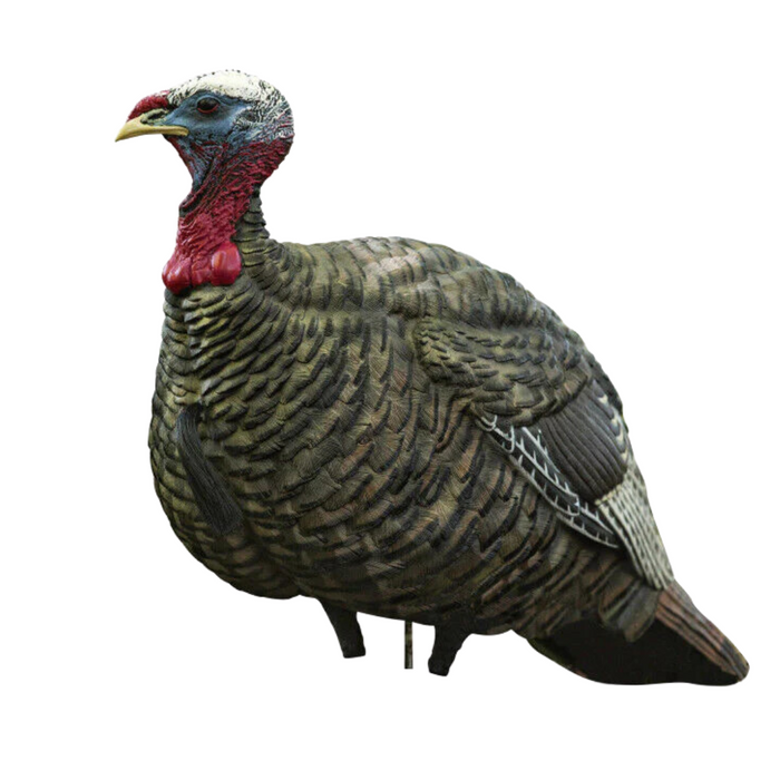 Avian-X LCD Jake Quarter Strut Decoy AVX8003