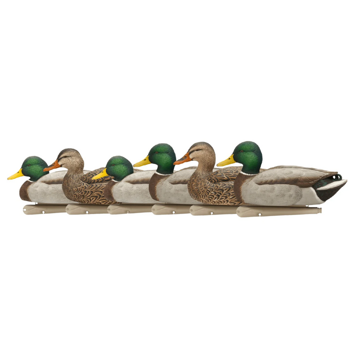 AvianX Top Flight Duck Open Water Mallard Decoy (6 Pack) AVX8060