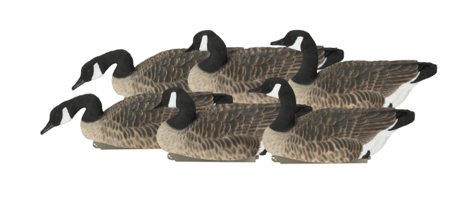 Banded, PG XD Canada Floaters-Harvester Pack (6-pack)